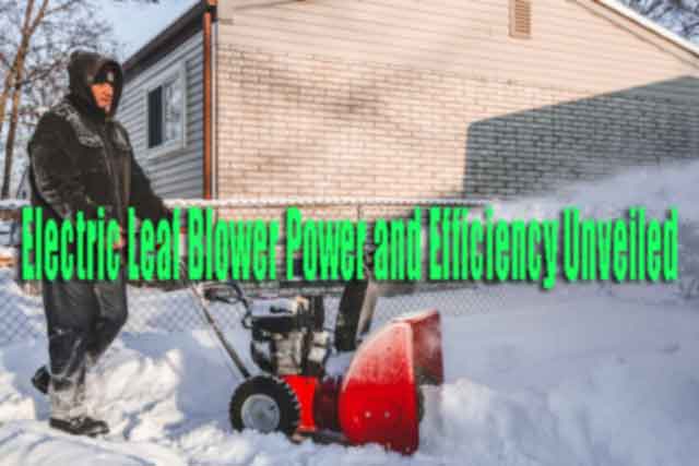 Electric Leaf Blower Power and Efficiency Unveiled